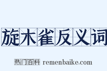 旋木雀反义词是什么意思的图片